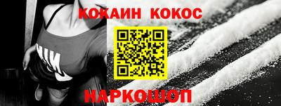 шишки Камышлов