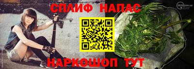 шишки Камышлов