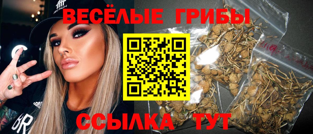 Галлюциногенные грибы Magic Shrooms Ефремов