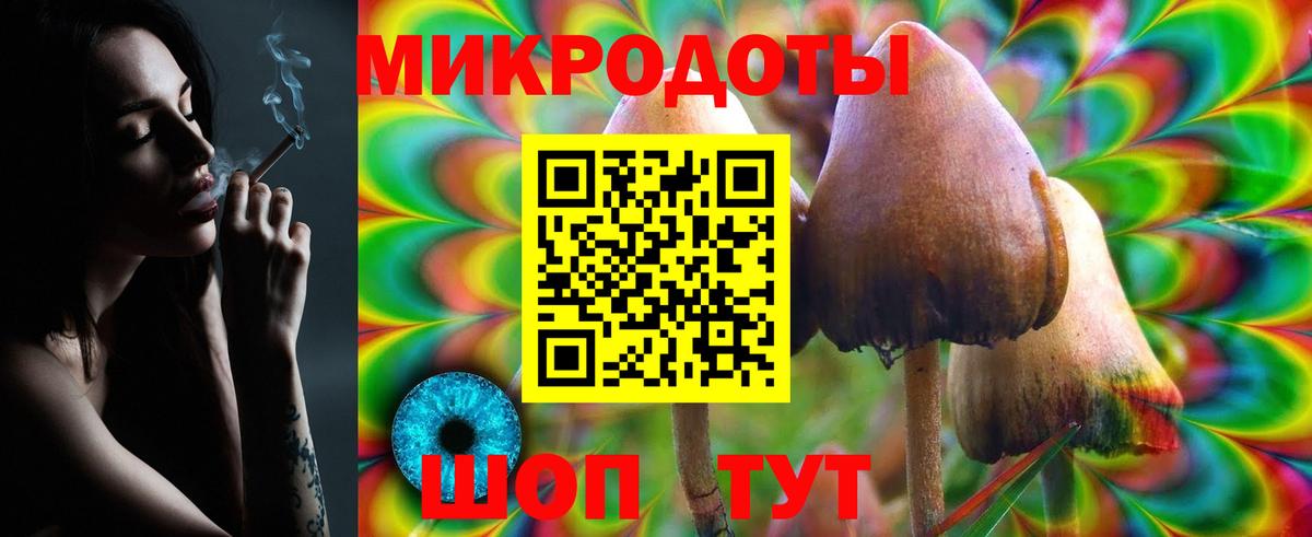 Галлюциногенные грибы Cubensis  хочу наркоту  Вход с VPN  Ефремов  Галлюциногенные грибы MAGIC MUSHROOMS 
