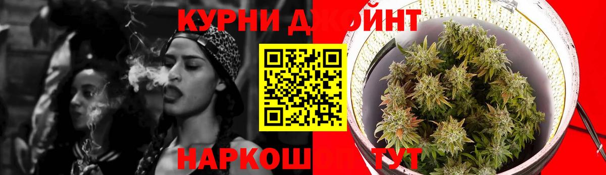 Канабис SATIVA & INDICA Ефремов